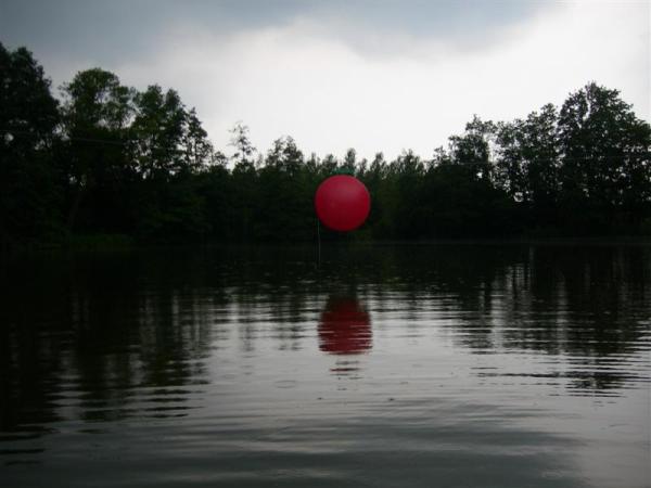 Gong te Nieuwenhoven